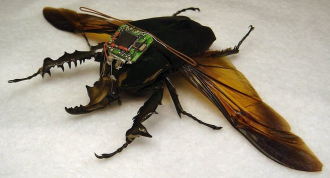 Hybrid Insect Micro-Electro-Mechanical System (HI MEMS)