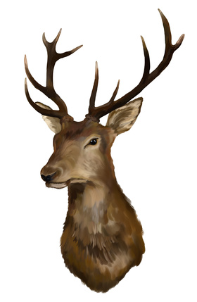 Deer Head Bust Wall Hanging