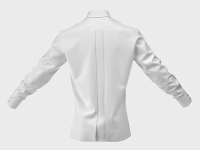 White Silk Shirt 