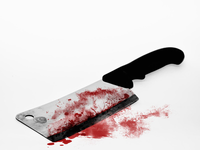 Cleaver